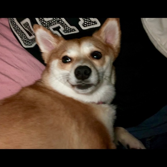 Meet your Posher, Nicole - Picture 1 of 1